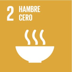 Objetivo 2: Poner fin al hambre