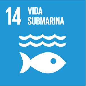 Objetivo 14: Conservar y utilizar sosteniblemente los océanos, los mares y los recursos marinos
