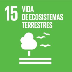 Objetivo 15: Gestionar sosteniblemente los bosques, luchar contra la desertificación, detener e invertir la degradación de las tierras, detener la pérdida de biodiversidad